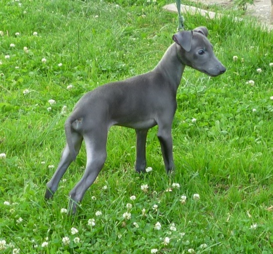 Epsilon 4 16.06.2011